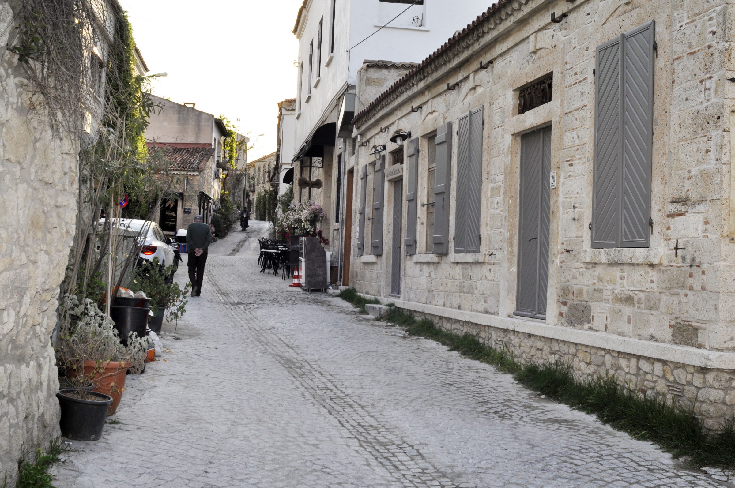 ALAÇATI ON İKİ AY YAŞAYAN BİR 'ORGANİZMA