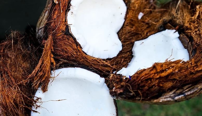 AGRİTRADE TARIM ÜRÜNLERİ LOJİSTİK DEPOLAMA