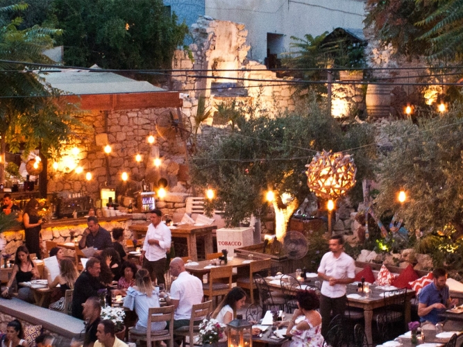 CAPER GARDEN
